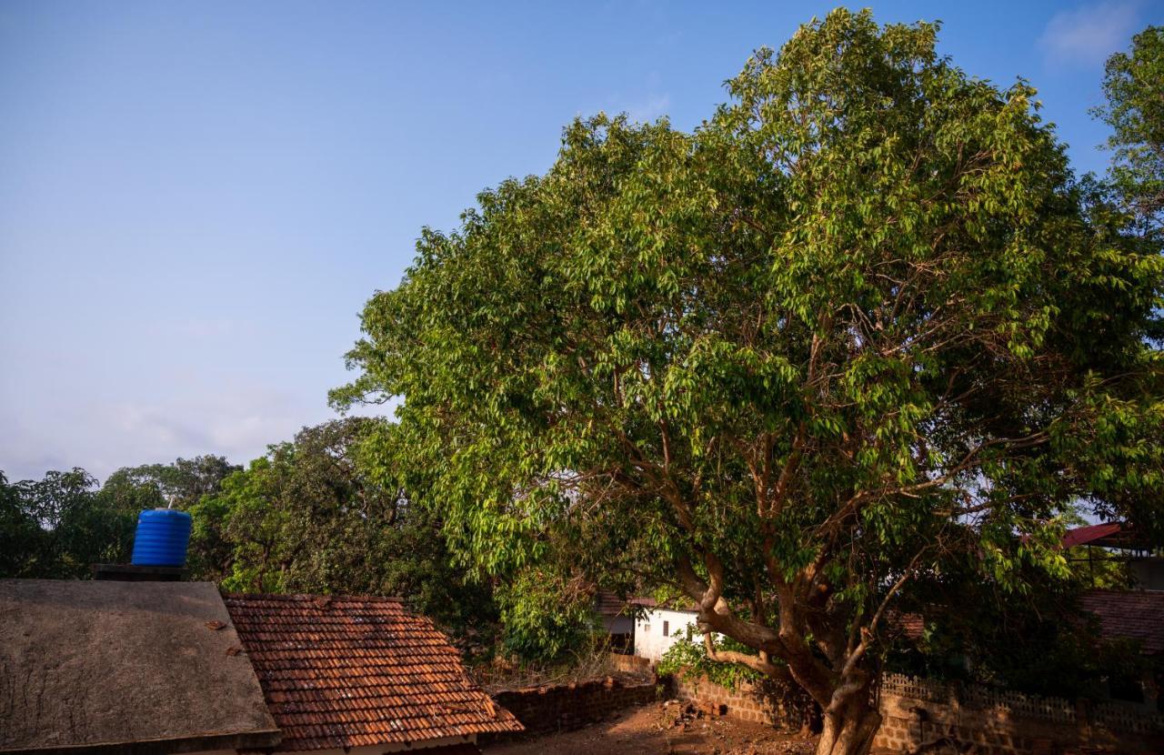 La Oasis By Meraden ,Goa Andzsuna Kültér fotó